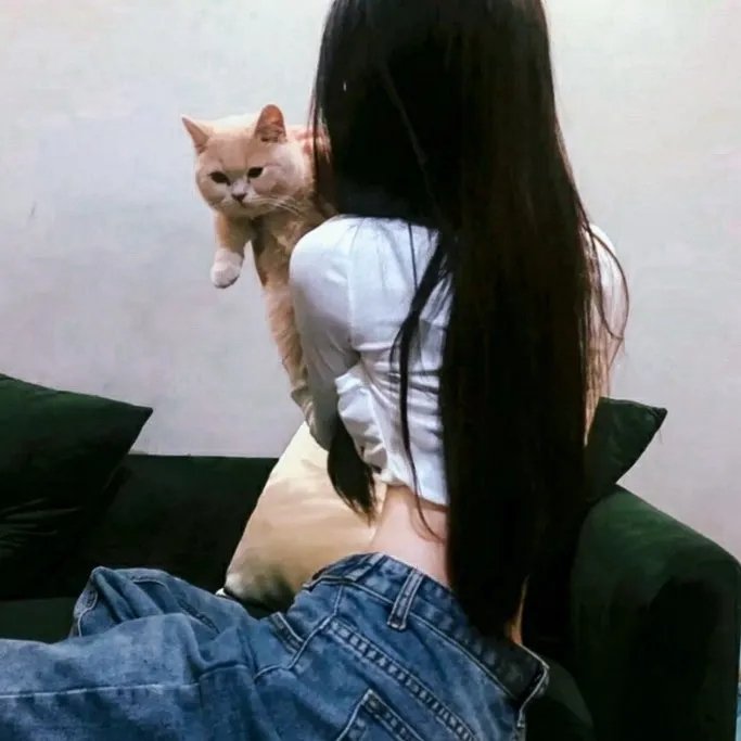 追影