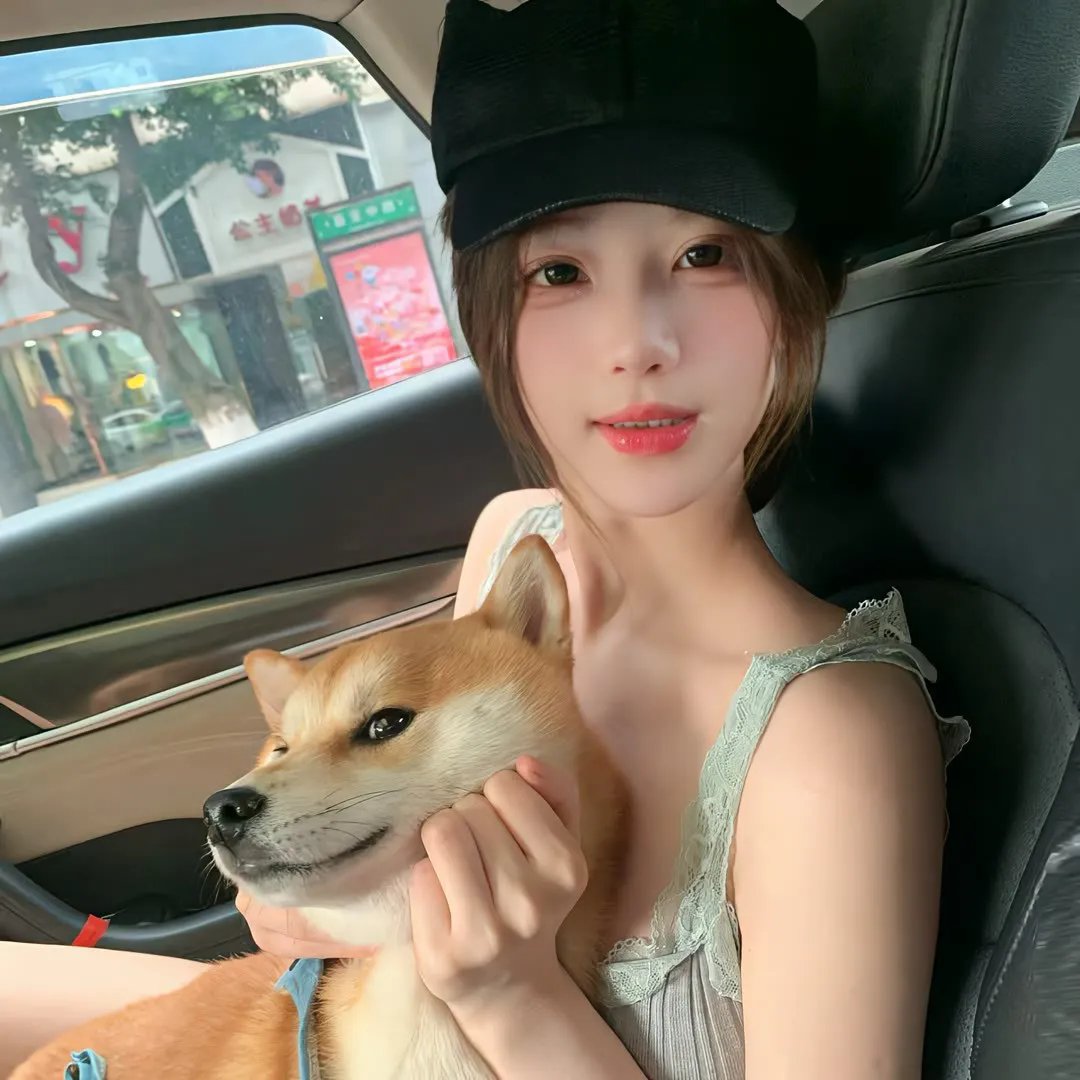 黎明的飞鸟